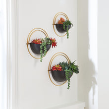 Load image into Gallery viewer, Tobins Wall Planter Set (3/CN)
